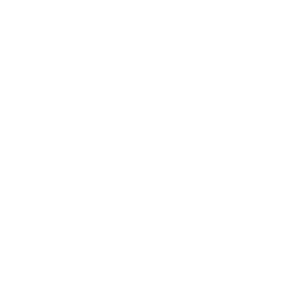 External Scan & Testing