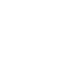 Remediate & Document