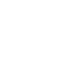 Scope & Gap Analysis