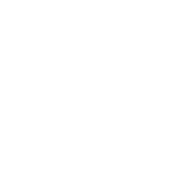 Static PDFs