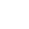  Define Scope & Objectives